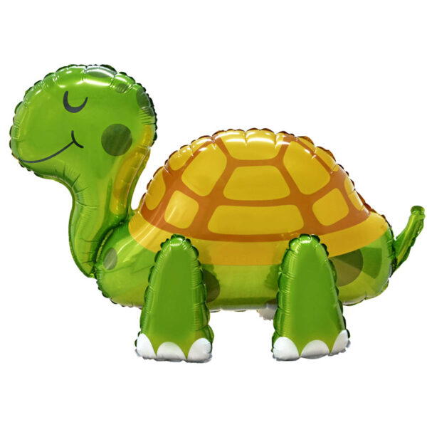 Tortoise