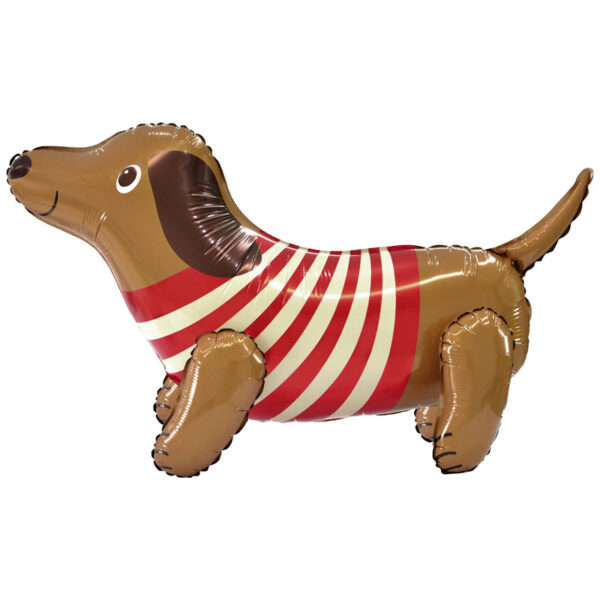 Dachshund