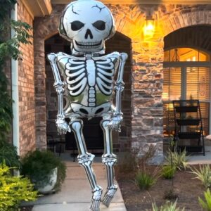Skeleton (8 ft 10 in Tall)